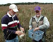 Gardening -  Master Naturalists collect seeds for prairie restoration Image