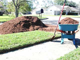 Gardening - Mulch image