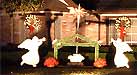 League City News - Nativity with Angels Picture