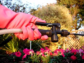 Gardening: Pesticide Safety Image