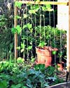 Gardening - Square foot Garden - John Jons image