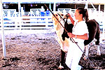 CCISD - Hereford Steer USDA 4-H image