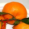 Gardening - Citrus image