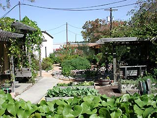 Horticultural Display Gardens image