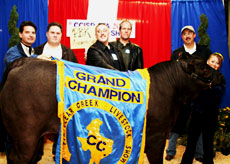 School District - Grand Champion Steer image