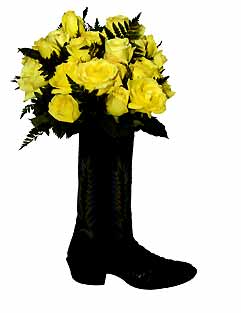 Roses in boot image